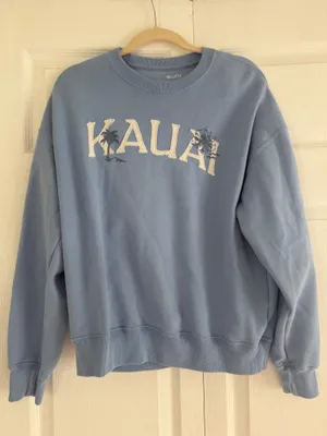 Hollister Blue Crewneck  thumbnail 1