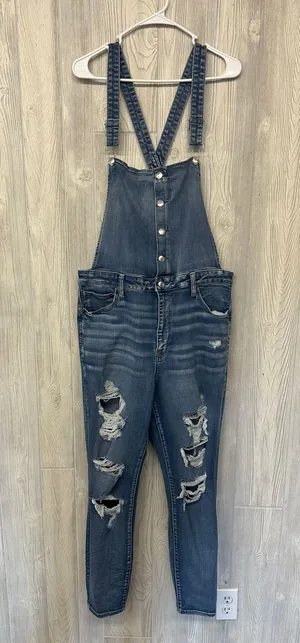 American Eagle Outfitters Jegging Overall thumbnail 1
