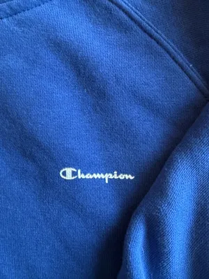 Champion Sweatshirt Hoodie Blue thumbnail 2