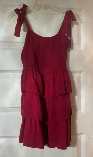 The Pants Store Red Mini Dress thumbnail 1