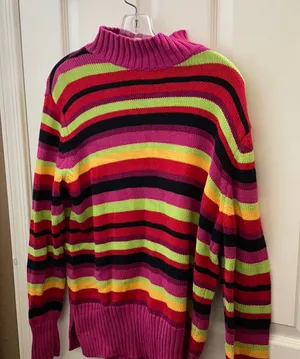 FINAL MARKDOWN Westbound Multicolor Striped Sweater large thumbnail 1