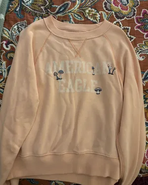 American Eagle crewneck  thumbnail 1