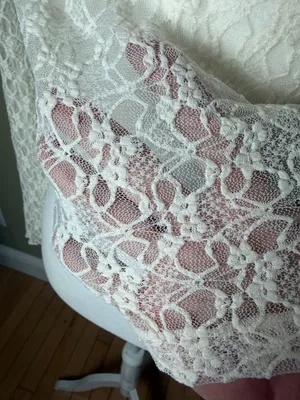 Thirty/Thirty LA Sheer Cream Lace Tie Front Ruffle Top Size XS thumbnail 6