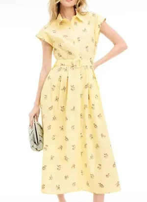 Adam Lippes Belted Poplin Shirt Dress Size 0 thumbnail 1