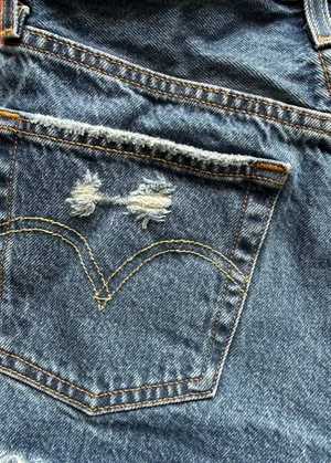 Levi’s 501 Shorts thumbnail 6