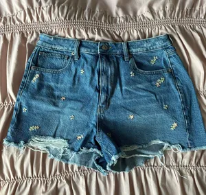 American Eagle Outfitters Mom Shorts thumbnail 1