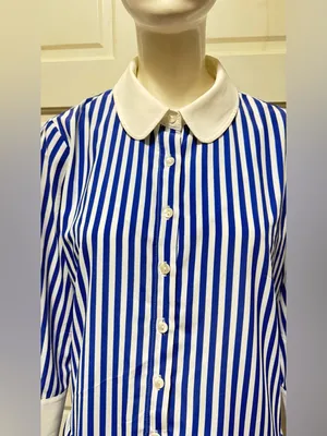 Tuckernuck Blue and White Striped Button-Front Shirt Dress Size Medium thumbnail 6