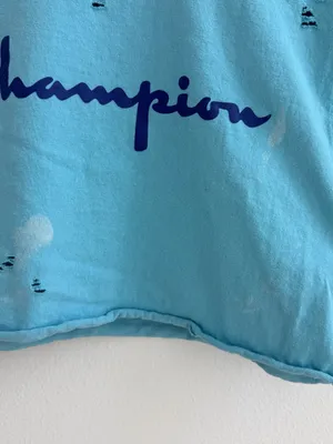 Champion cropped tee with paint splatter details thumbnail 5