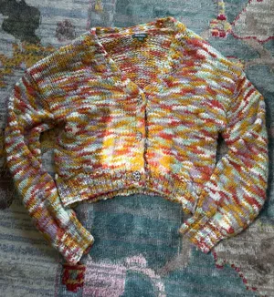 Wild Fable Cutest colorful crop cardigan thumbnail 1