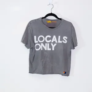 Aviator Nation Locals Only Boyfriend Short Sleeve Tee Shirt Top Light Gray Small thumbnail 1