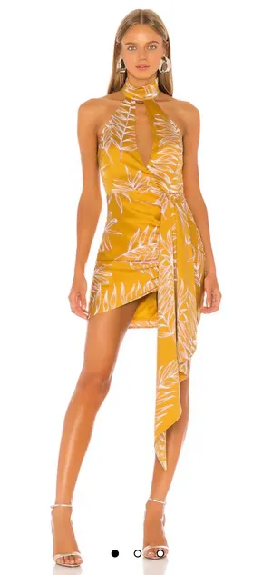 Antonia Mini Dress in Gold Tropical thumbnail 1