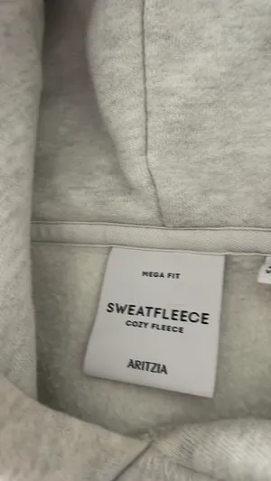 Aritzia Hoodie thumbnail 3