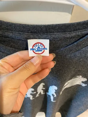 Delta Pro Weight grey graphic baby tee thumbnail 3