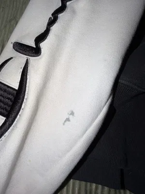 Champion Hoodie thumbnail 5