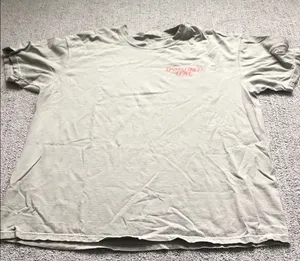 Comfort Colors Light Sage Crewneck T-Shirt with Pink Chest Logo thumbnail 1