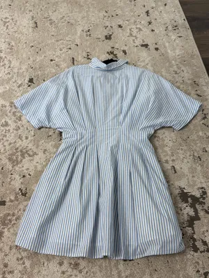 AUREUM Blue and White Striped Pleated Shirt Dress Size Large NWT thumbnail 2