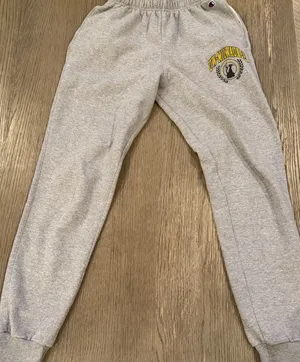Champion UW-Milwaukee Panthers Joggers Heather Gray Sweatpants‎ Womens Small thumbnail 1