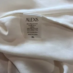Alexis Asia Georgette Mini Dress Sz XL thumbnail 10