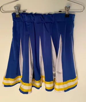 Pleated Cheer Skirt thumbnail 1