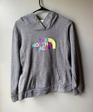 The North Face Women’s Gray Logo Hoodie Size Large thumbnail 1