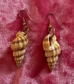 Conch Sea Shell Earrings Boho Bohemian Island Vacation Beach Beige Dangle thumbnail 1