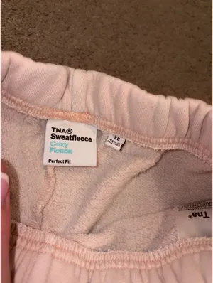 TNA Aritzia Shorts thumbnail 4