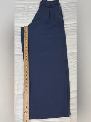 Madewell High Rise Wide Leg Single Pleat Pants in Dusty Blue Size 8 thumbnail 6