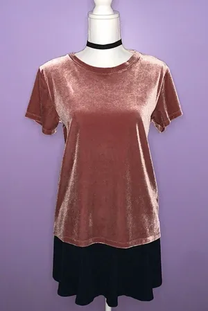 Abercrombie & Fitch Mauve Velour Top thumbnail 1