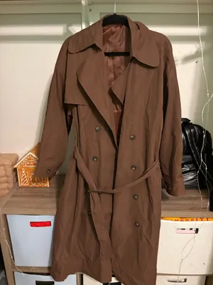 Brown Coat thumbnail 1