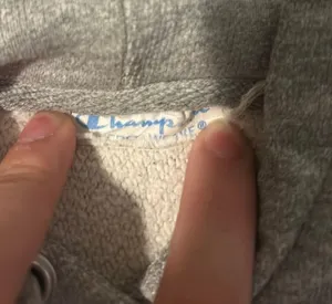 Champion Gray  Hoodie thumbnail 8