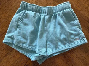 The North Face Sweatpant Shorts thumbnail 1
