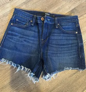 Hudson Dark Denim Shorts thumbnail 1
