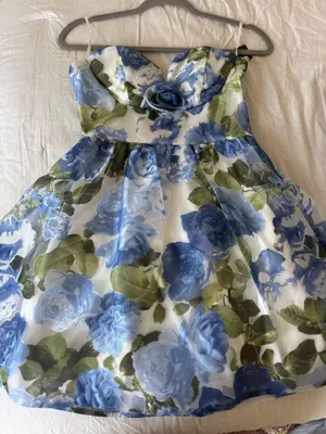 Homecoming Dress Dillard's thumbnail 1