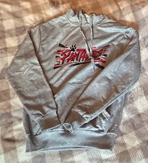 Panther Hoodie Gray Size M thumbnail 1