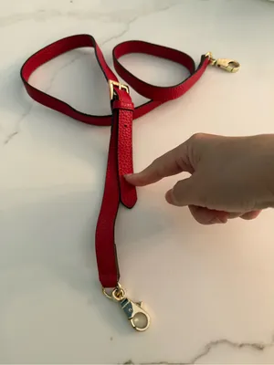 Women's Red Leather Bag Strap with Gold Hardware thumbnail 1