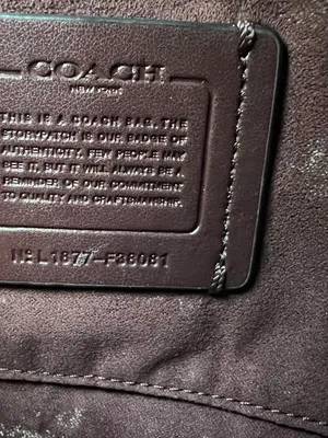 Embossed Crocodile Cassidy Chain Crossbody/Shoulder Bag thumbnail 7