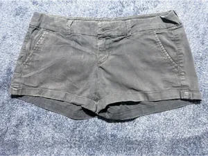 American Eagle Outfitters Gray Casual Shorts Size 2 thumbnail 2
