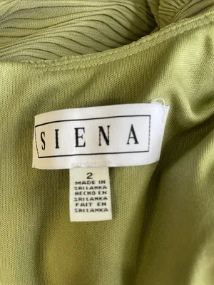Siena Pleated Chiffon Midi Dress in Sweet Pea thumbnail 5