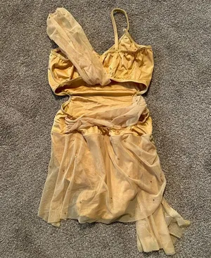 Gold Dance Costume Size L thumbnail 3
