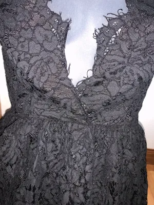 Tobi Floral Lace Dress thumbnail 3