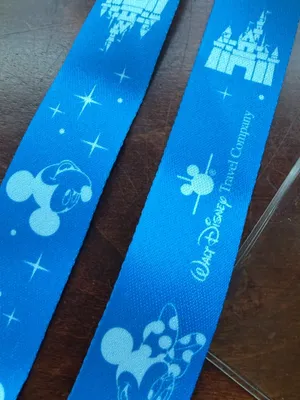 Walt Disney Travel Company Lanyard Enamel Pin and Clear Plastic Pass Holder New thumbnail 5