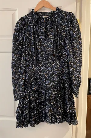 Ulla Johnson Blue and Champagne Dress thumbnail 1