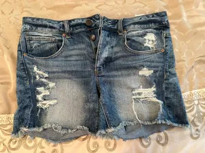American Eagle Outfitters Shorts thumbnail 1
