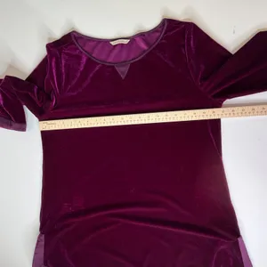 Soft Surroundings Velvet Tunic Top Sz‎ L/XL Purple Soft Comfy Royal Holiday Boho thumbnail 11