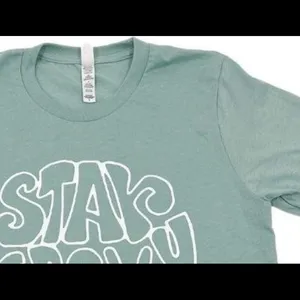 Bella Canvas Stay Groovy Graphic Tee. pretty tee thumbnail 2