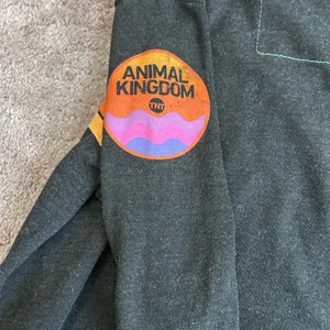 Aviator Nation X Disney Animal Kingdom 5 Stripe Charcoal Hoodie Size Medium thumbnail 6