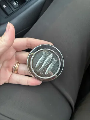 PopSockets PopGrip sardine  thumbnail 1