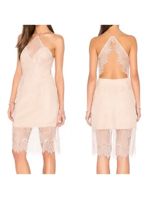 Keepsake The Label Great Love Lace Dress: Rose (Blush Pink) thumbnail 2