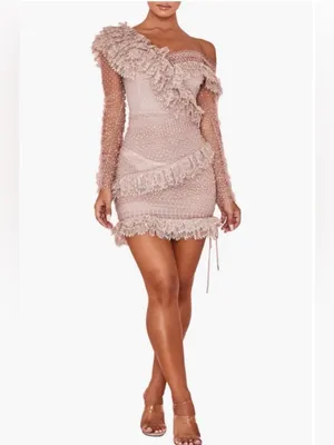 NEW House of CB Sorrel Tulle Asymmetric Minidress thumbnail 9
