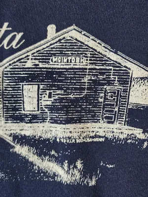 Vintage Minnesota Crewneck Sweatshirt - size medium thumbnail 4